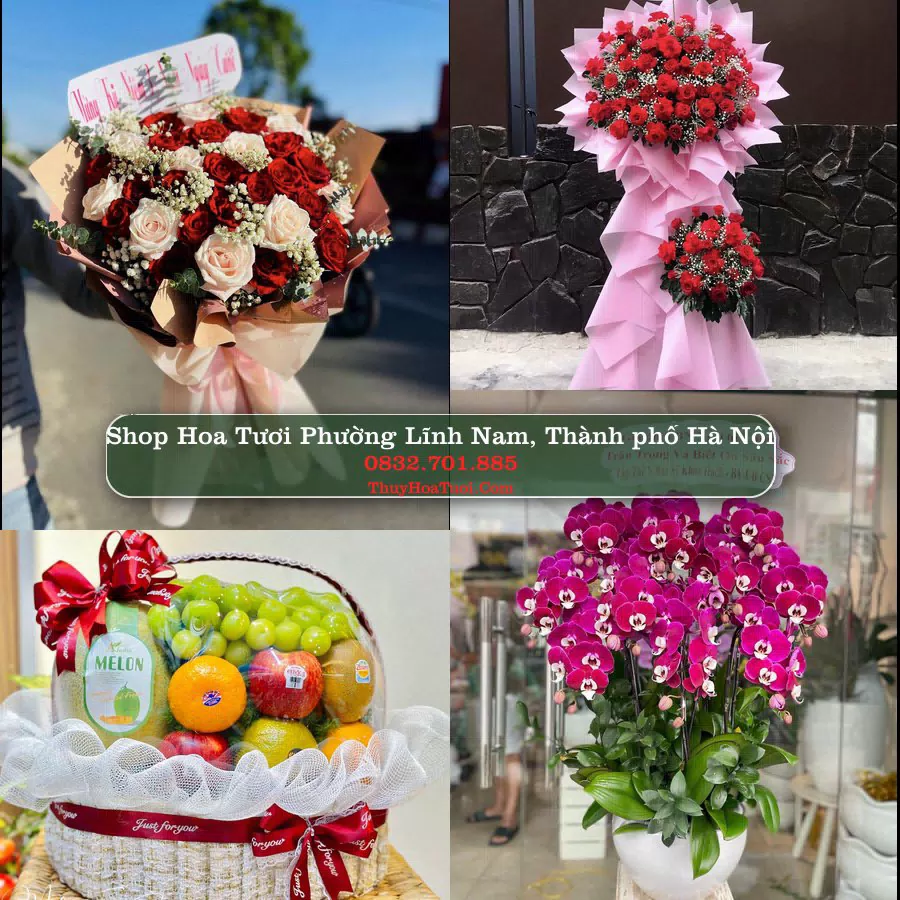 Shop Hoa Tươi Phường Lĩnh Nam - Thành phố Hà Nội