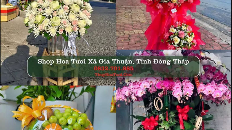 Shop Hoa Tươi Xã Gia Thuận - Tỉnh Đồng Tháp