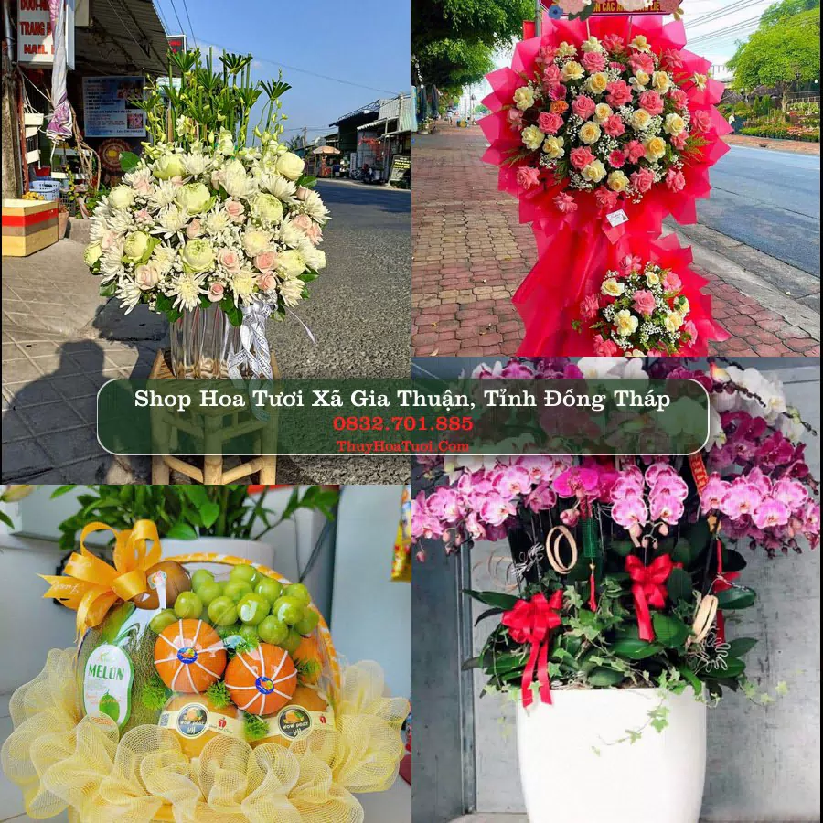 Shop Hoa Tươi Xã Gia Thuận - Tỉnh Đồng Tháp