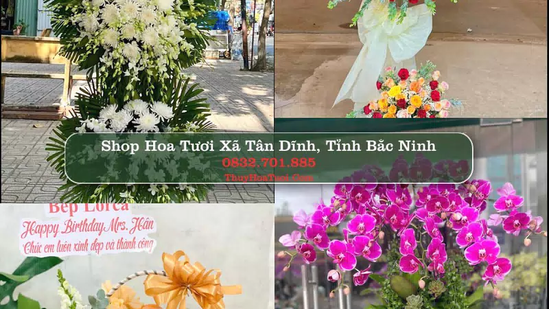 Shop Hoa Tươi Xã Tân Dĩnh - Tỉnh Bắc Ninh
