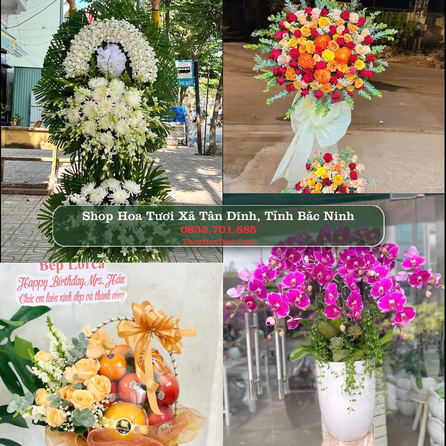 Shop Hoa Tươi Xã Tân Dĩnh - Tỉnh Bắc Ninh