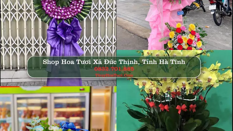 Shop Hoa Tươi Xã Đức Thịnh - Tỉnh Hà Tĩnh
