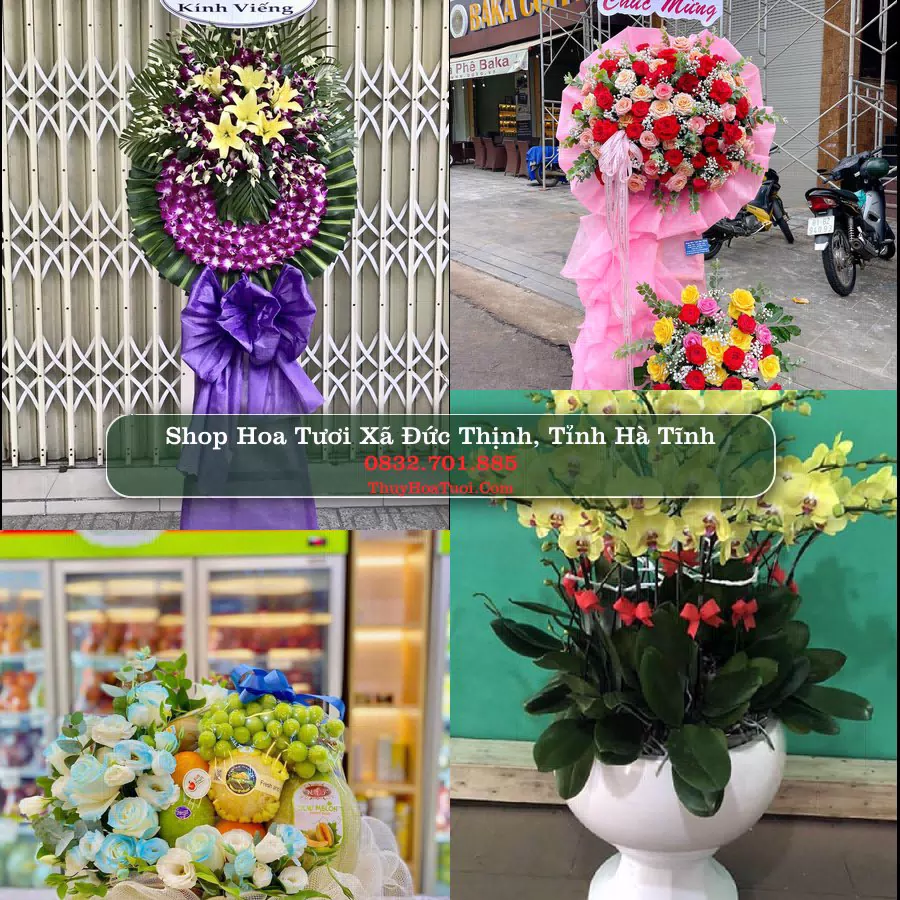 Shop Hoa Tươi Xã Đức Thịnh - Tỉnh Hà Tĩnh