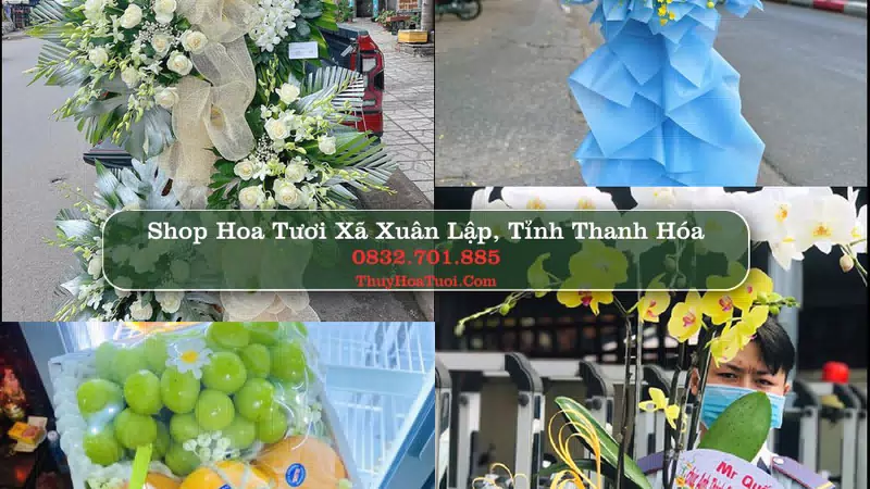 Shop Hoa Tươi Xã Xuân Lập - Tỉnh Thanh Hóa