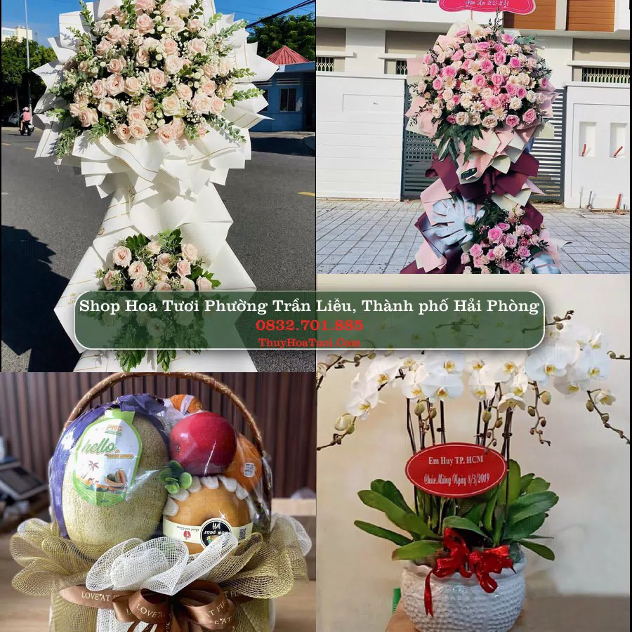 Shop Hoa Tươi Phường Trần Liễu - Thành phố Hải Phòng