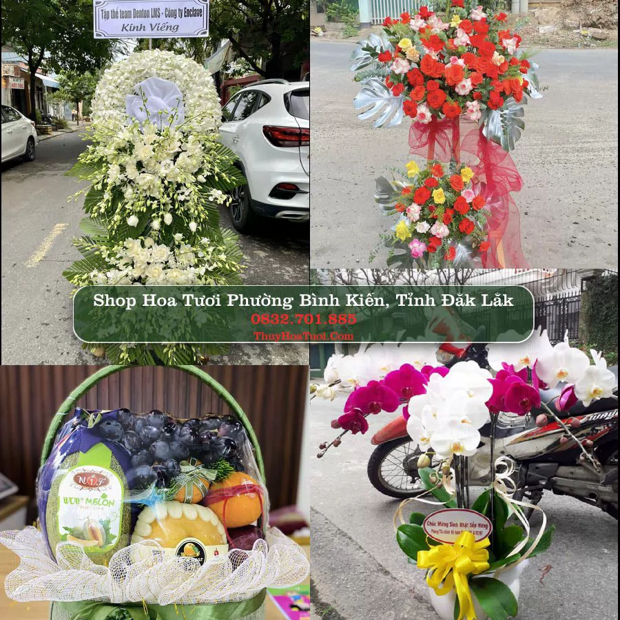 Shop Hoa Tươi Phường Bình Kiến - Tỉnh Đắk Lắk