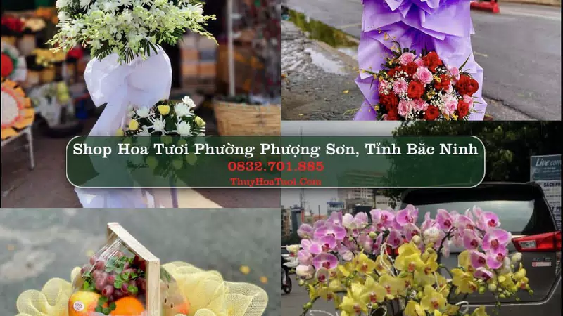 Shop Hoa Tươi Phường Phượng Sơn - Tỉnh Bắc Ninh