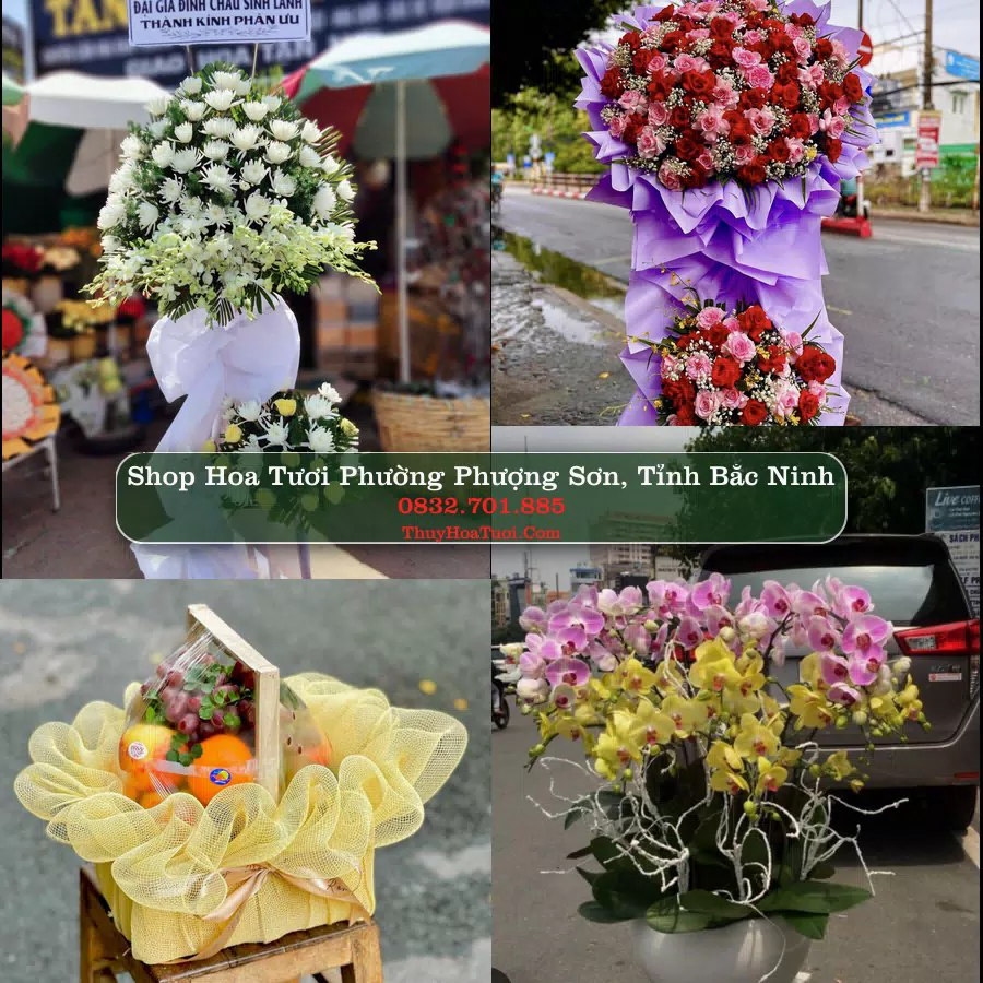 Shop Hoa Tươi Phường Phượng Sơn - Tỉnh Bắc Ninh