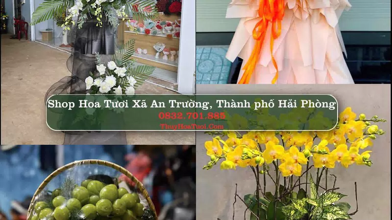 Shop Hoa Tươi Xã An Trường - Thành phố Hải Phòng