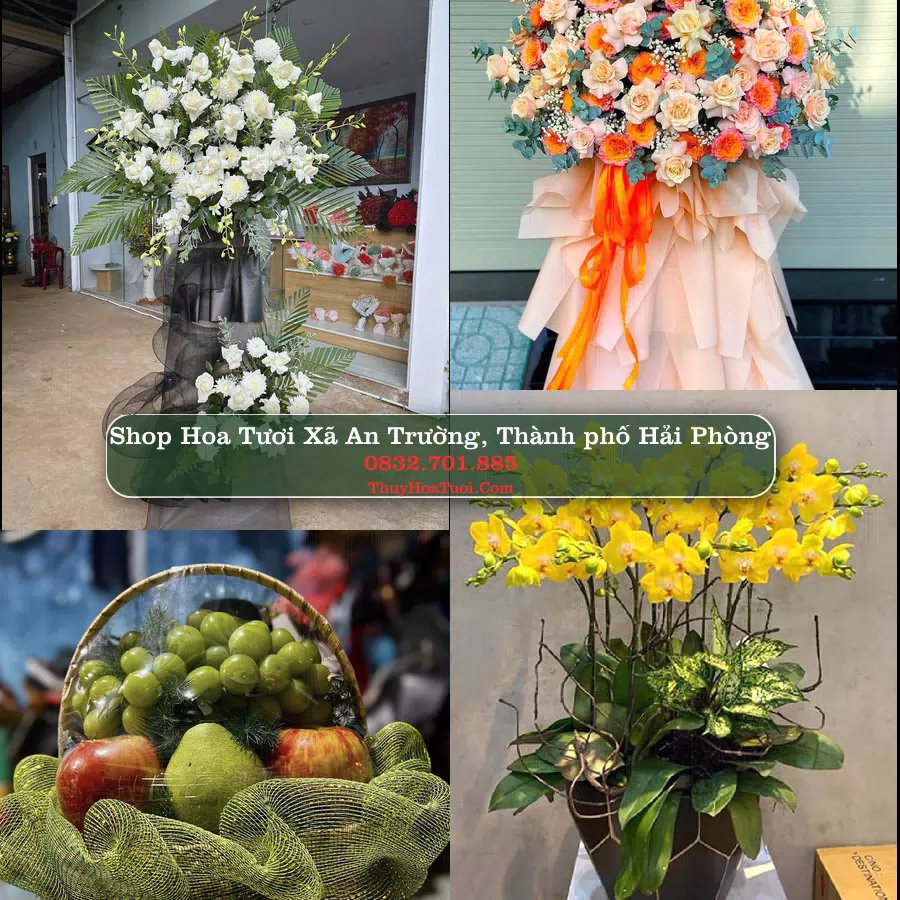 Shop Hoa Tươi Xã An Trường - Thành phố Hải Phòng