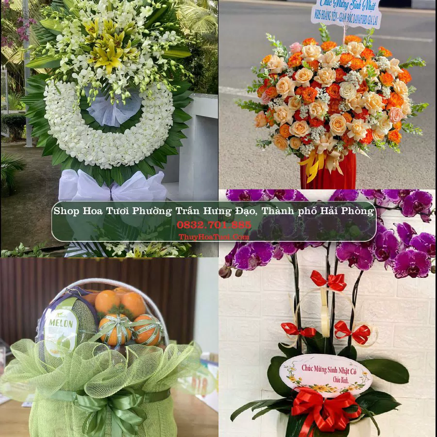 Shop Hoa Tươi Phường Trần Hưng Đạo - Thành phố Hải Phòng