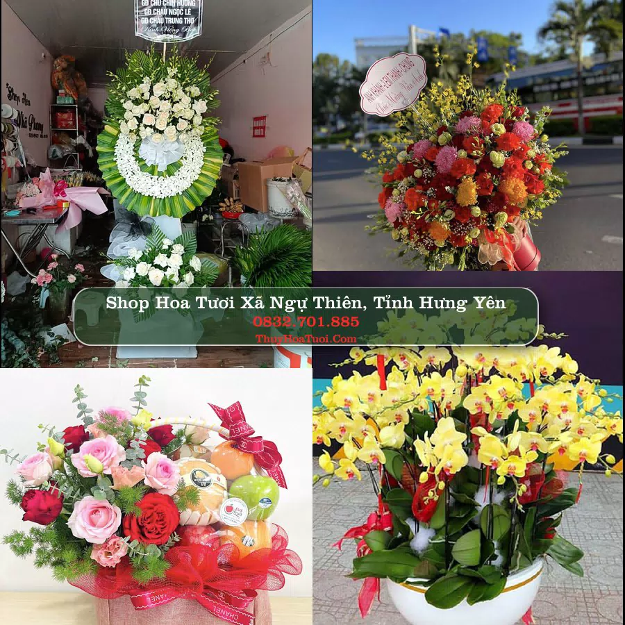 Shop Hoa Tươi Xã Ngự Thiên - Tỉnh Hưng Yên