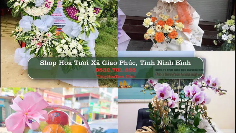 Shop Hoa Tươi Xã Giao Phúc - Tỉnh Ninh Bình