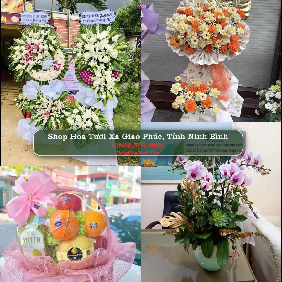 Shop Hoa Tươi Xã Giao Phúc - Tỉnh Ninh Bình