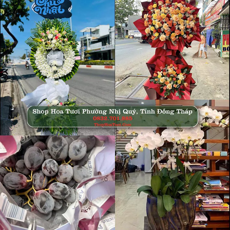 Shop Hoa Tươi Phường Nhị Quý - Tỉnh Đồng Tháp