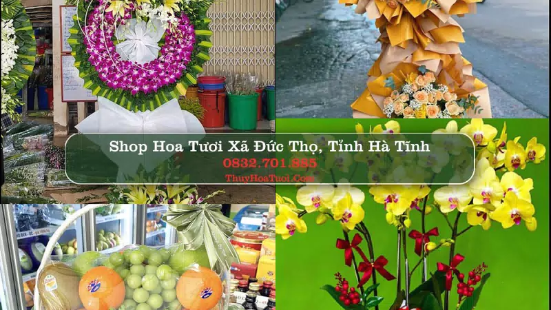 Shop Hoa Tươi Xã Đức Thọ - Tỉnh Hà Tĩnh