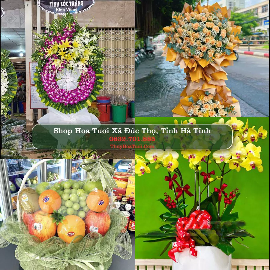 Shop Hoa Tươi Xã Đức Thọ - Tỉnh Hà Tĩnh