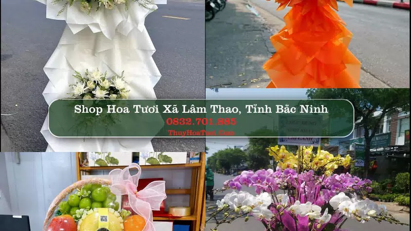 Shop Hoa Tươi Xã Lâm Thao - Tỉnh Bắc Ninh