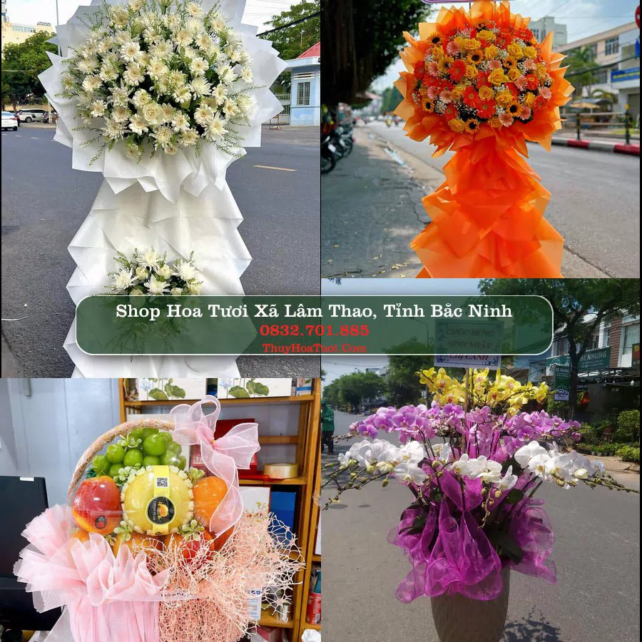 Shop Hoa Tươi Xã Lâm Thao - Tỉnh Bắc Ninh