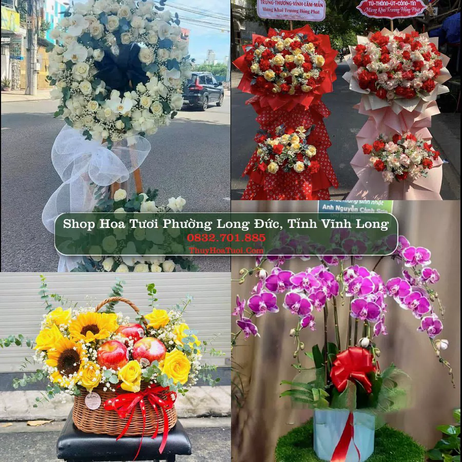 Shop Hoa Tươi Phường Long Đức - Tỉnh Vĩnh Long