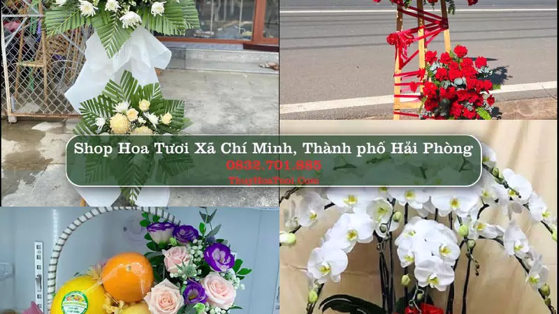 Shop Hoa Tươi Xã Chí Minh - Thành phố Hải Phòng