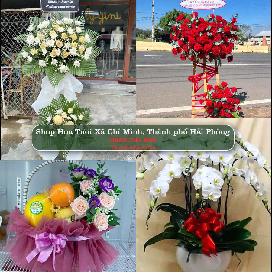 Shop Hoa Tươi Xã Chí Minh - Thành phố Hải Phòng