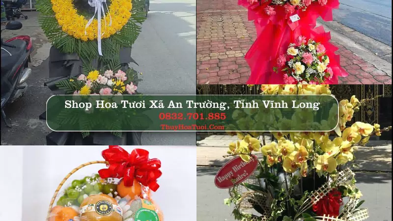 Shop Hoa Tươi Xã An Trường - Tỉnh Vĩnh Long