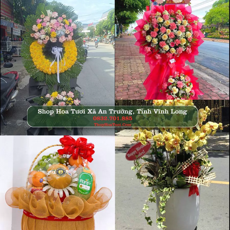 Shop Hoa Tươi Xã An Trường - Tỉnh Vĩnh Long