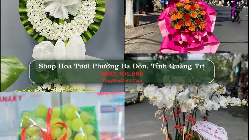 Shop Hoa Tươi Phường Ba Đồn - Tỉnh Quảng Trị