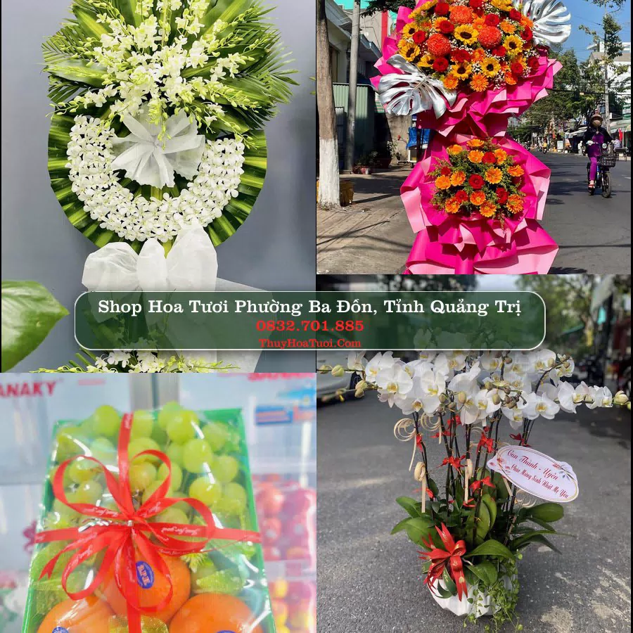 Shop Hoa Tươi Phường Ba Đồn - Tỉnh Quảng Trị