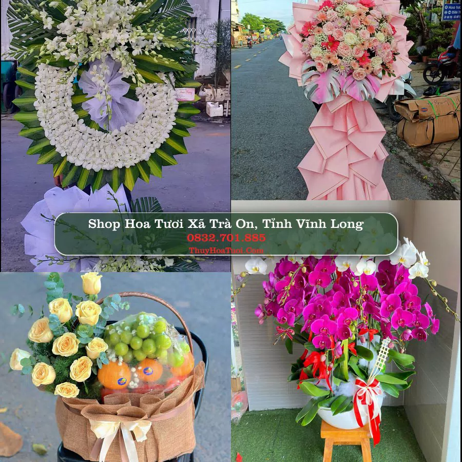 Shop Hoa Tươi Xã Trà Ôn - Tỉnh Vĩnh Long