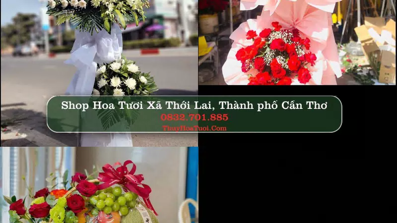 Shop Hoa Tươi Xã Thới Lai - Thành phố Cần Thơ