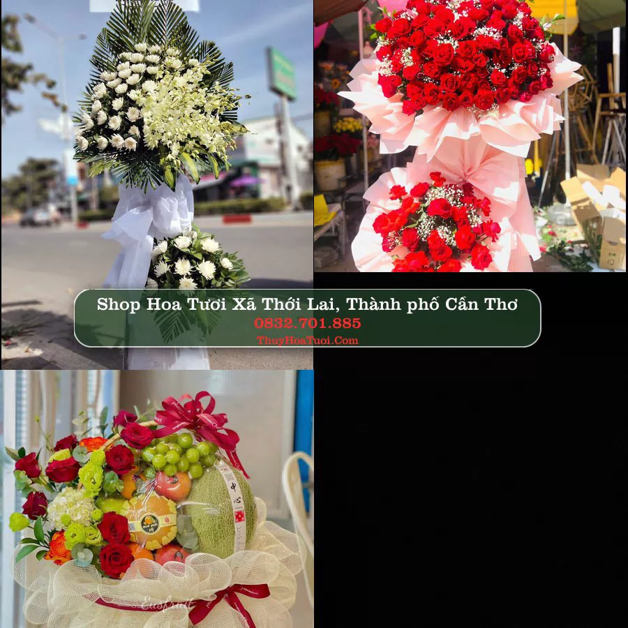 Shop Hoa Tươi Xã Thới Lai - Thành phố Cần Thơ