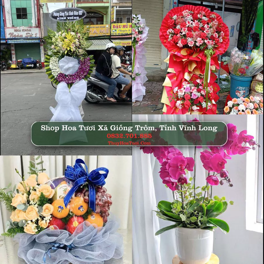 Shop Hoa Tươi Xã Giồng Trôm - Tỉnh Vĩnh Long