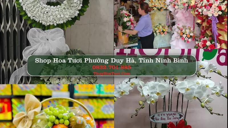 Shop Hoa Tươi Phường Duy Hà - Tỉnh Ninh Bình