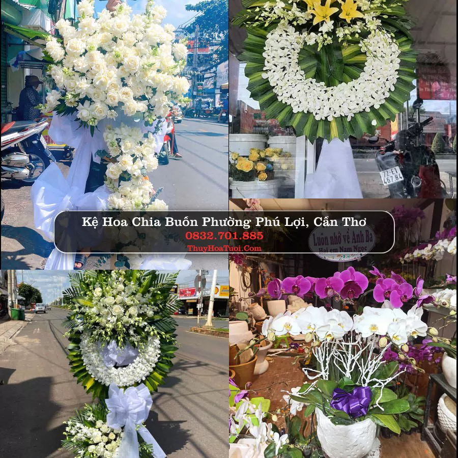 Vòng hoa chia buồn Phường Phú Lợi - ThuyHoaTuoi.Com