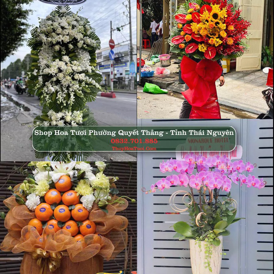Shop Hoa Tươi Phường Quyết Thắng - Tỉnh Thái Nguyên