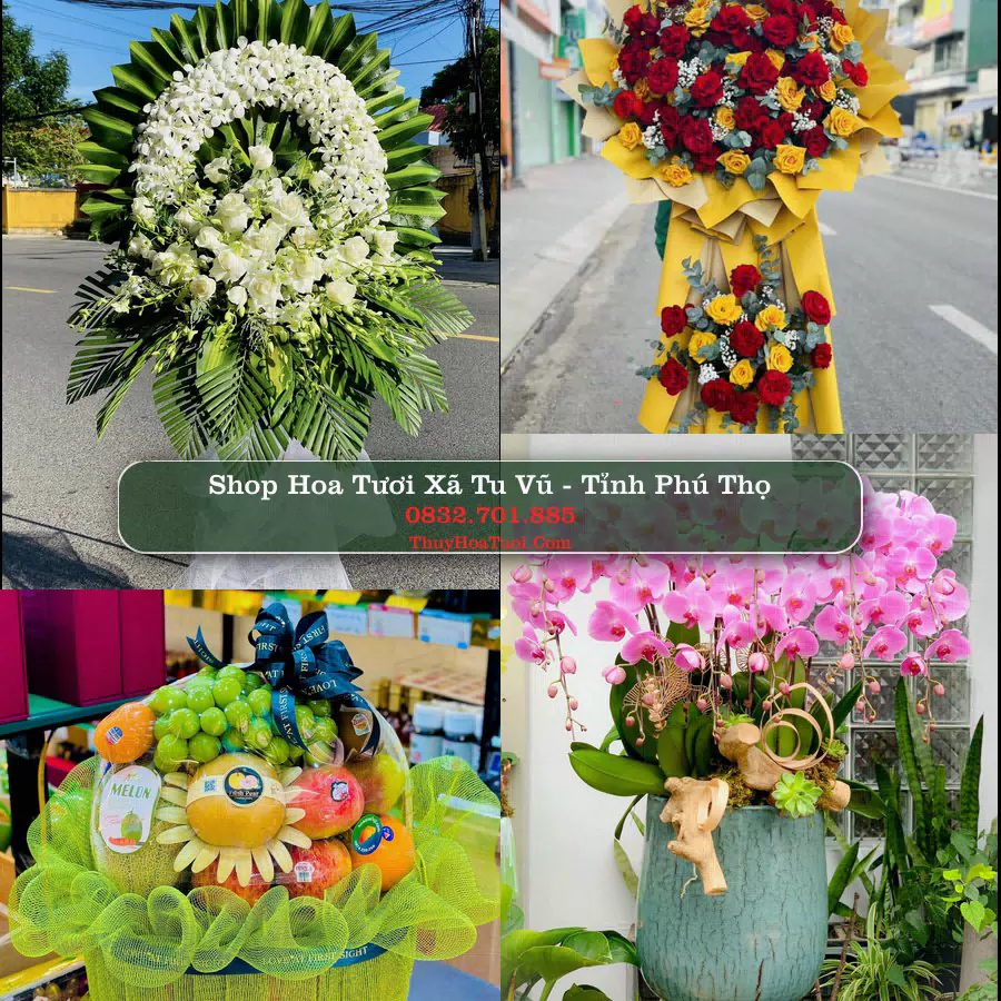 Shop Hoa Tươi Xã Tu Vũ - Tỉnh Phú Thọ