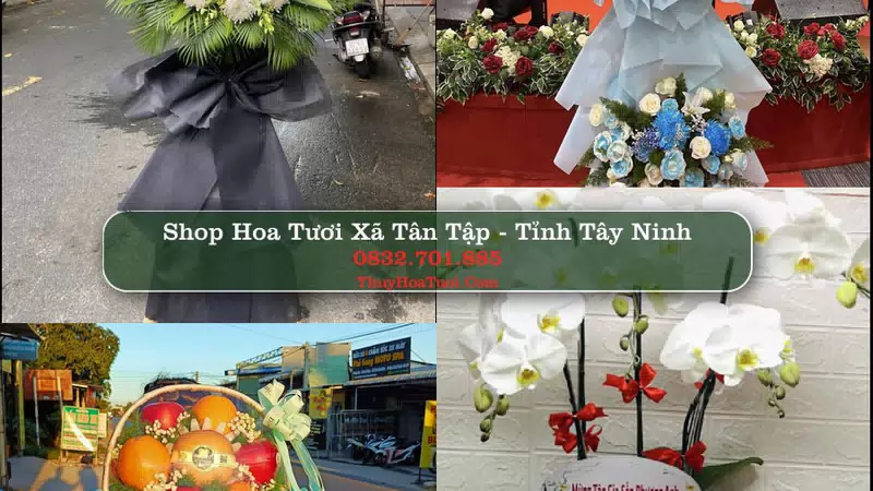 Shop Hoa Tươi Xã Tân Tập - Tỉnh Tây Ninh
