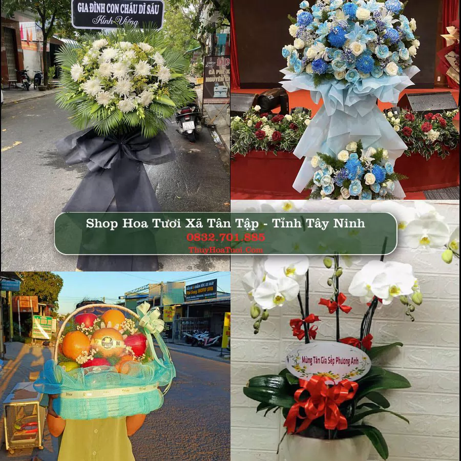 Shop Hoa Tươi Xã Tân Tập - Tỉnh Tây Ninh