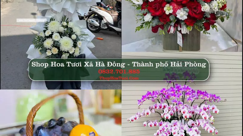 Shop Hoa Tươi Xã Hà Đông - Thành phố Hải Phòng
