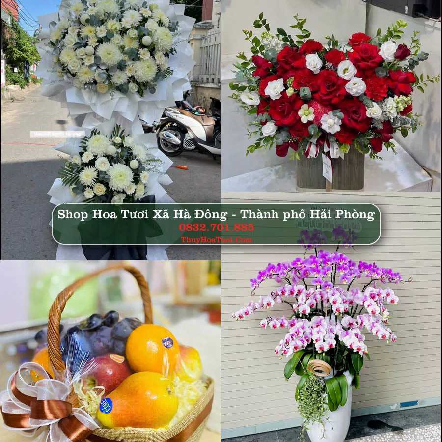 Shop Hoa Tươi Xã Hà Đông - Thành phố Hải Phòng