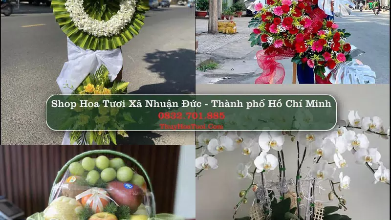 Shop Hoa Tươi Xã Nhuận Đức - Thành phố Hồ Chí Minh