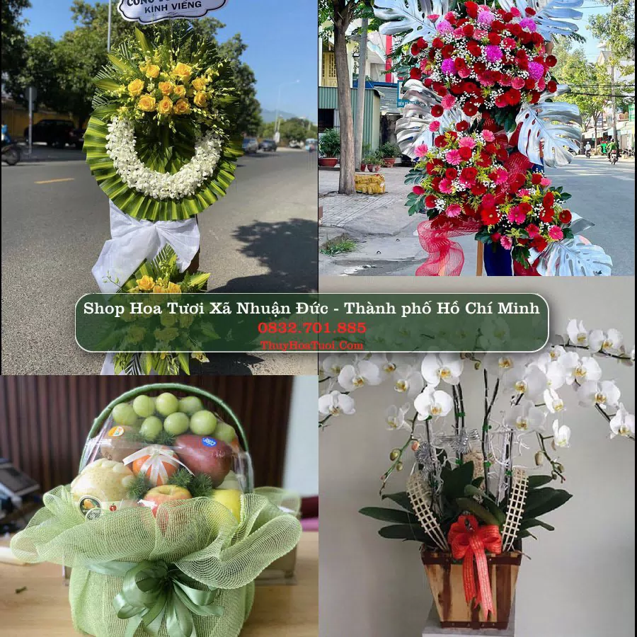 Shop Hoa Tươi Xã Nhuận Đức - Thành phố Hồ Chí Minh