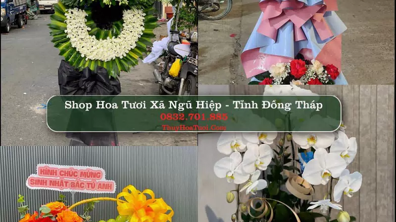 Shop Hoa Tươi Xã Ngũ Hiệp - Tỉnh Đồng Tháp