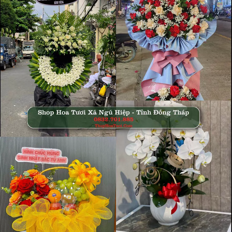 Shop Hoa Tươi Xã Ngũ Hiệp - Tỉnh Đồng Tháp