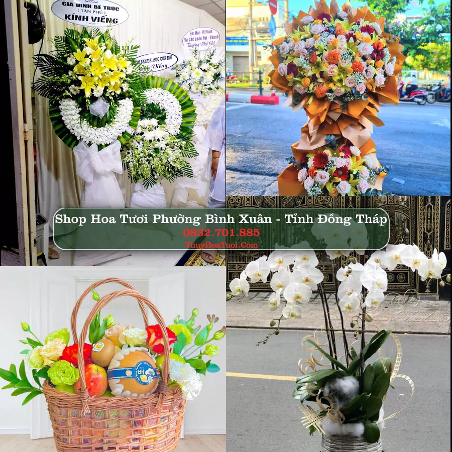 Shop Hoa Tươi Phường Bình Xuân - Tỉnh Đồng Tháp