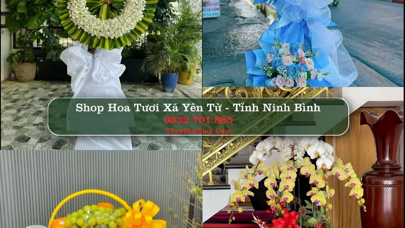 Shop Hoa Tươi Xã Yên Từ - Tỉnh Ninh Bình