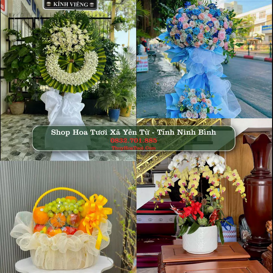 Shop Hoa Tươi Xã Yên Từ - Tỉnh Ninh Bình