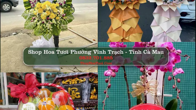 Shop Hoa Tươi Phường Vĩnh Trạch - Tỉnh Cà Mau